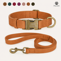 Personalized Dog Walking Set — Engraved Collar & Leash