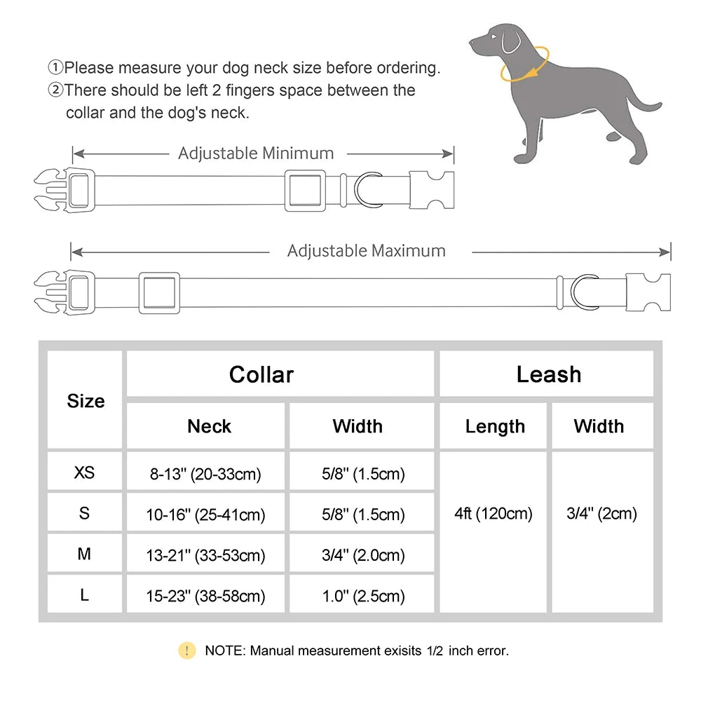 Personalized Dog Walking Set — Engraved Collar & Leash